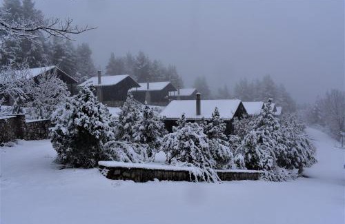 Chalkidiki Region Complejo | EVIA FOREST VILLAGE