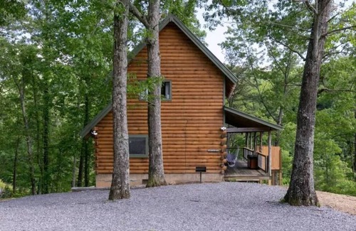 Townsend Cabina | Evie's Mountain Castle: Pet Friendly, Free Attraction Tickets, Hot Tub & Close to Cades Cove
