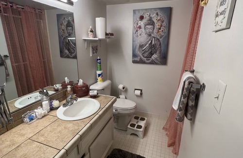 Southfield Condominio | ExactlyWhere you need to be!! Shabby Chic Swanky Bachelorette Pad