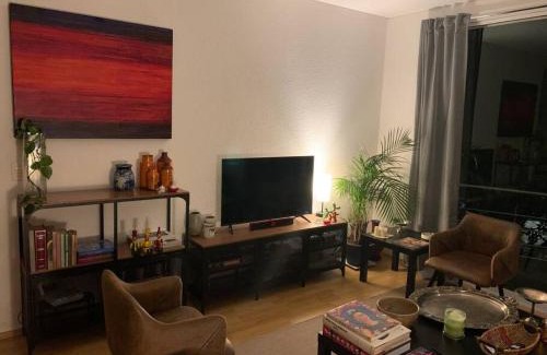 Hipodromo Apartamento | Excelente departamento en la Condesa
