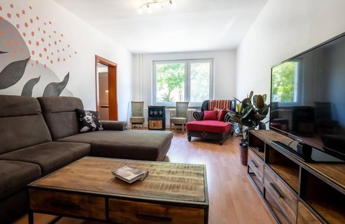 Martin Apartamento | Excellent Large Lux Apartment Central Martin