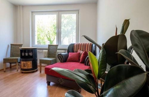 Martin Apartamento | Excellent Large Lux Apartment Central Martin