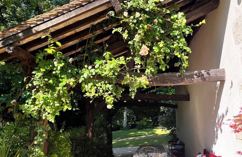 Cellettes Casa | Exceptional B&B combining nature, history and conviviality