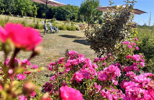 Cellettes Casa | Exceptional B&B combining nature, history and conviviality