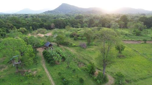 Buttala Cabina | Exciting Tree house and 2 Chalets, Spring valley farm stay Buttala, Okkampitiya