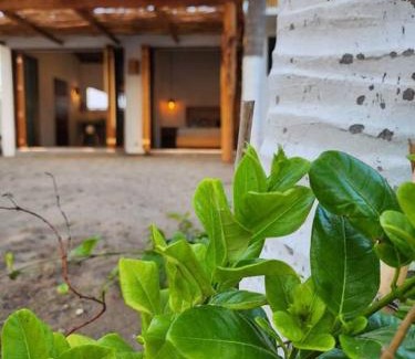 Barra de Potosi Apartamento | Exclusiva Casita frente al mar
