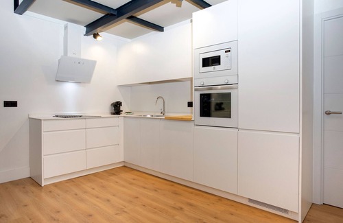 Museo Apartamento | Exclusive apartment in Seville center. Almansa