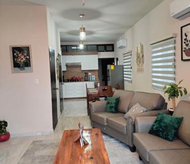 Saltillo Apartamento | Executive Apartment