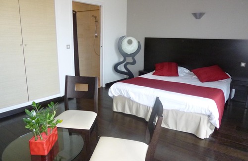 Belleville-sur-Loire Hotel | EXECUTIVE room garden side