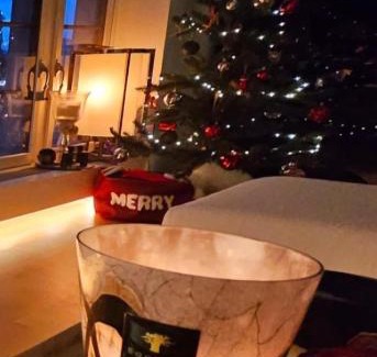 Old Town Apartamento | Executive Studio in pedestrian area