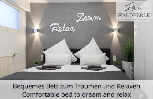 Schonach im Schwarzwald Apartamento | Exklusives 5-Sterne Apartment Waldperle mit Indoor-Pool, Sauna, top Lage und Ausblick in die Natur, Hunde willkommen