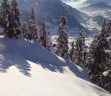 Schoenried Chalet De Esquí | Exklusives Chalet mit 360 Panorama