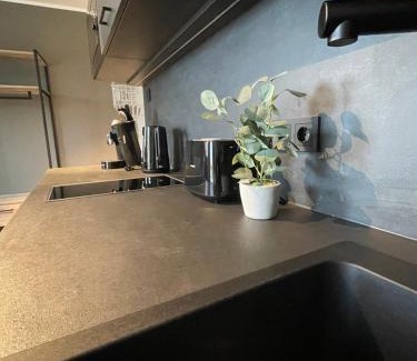 Delitzsch Apartamento | Exklusives Wohnen im historischen Wasserturm dem Highlight von Delitzsch WE214