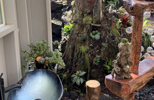 Eden Roc Casa | Exotic garden cottage at amazing volcanic fissure