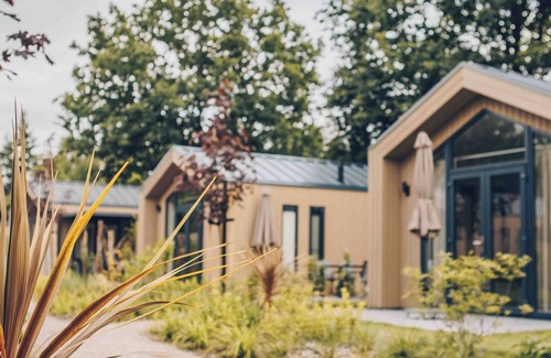 Lieren Casa | Experience luxury and nature in the Tiny Lodge in the Veluwe! Single-story with 2 bedrooms, a fully equipped kitchen, air conditioning, and a private hot tub in the garden.