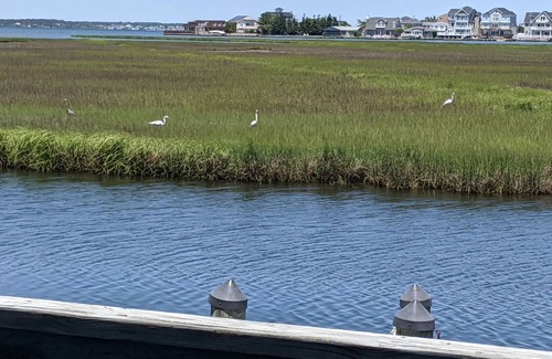 North Ocean City Condominio | ¡Experimente Ocean City como nunca antes en Sea Grass # 5!