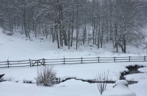 Sparta Cabaña | Explore and Renew in Blue Ridge Cottage on Our Wee Glen