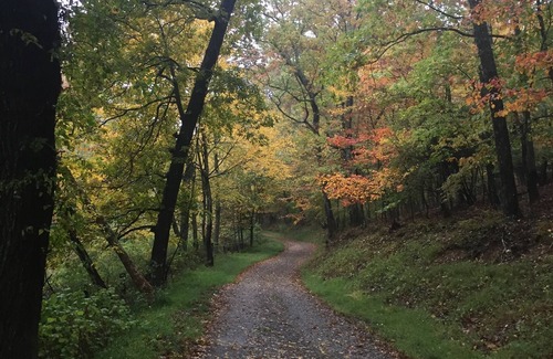 Sparta Cabaña | Explore and Renew in Blue Ridge Cottage on Our Wee Glen