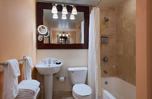 Downtown Austin Hotel | Explore Nature and Have Fun! Pets Allowed, Pool, Near Paramount Theater!