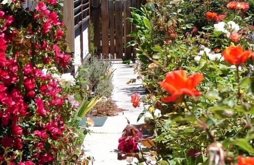 Baywood Park Cabaña | Casa Exquisita, Jardines Privados, Paseo A La Bahía