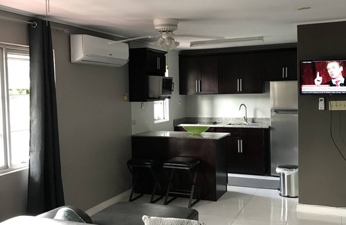 New Kingston Apartamento | Exquisite, recently renovated studio apartment