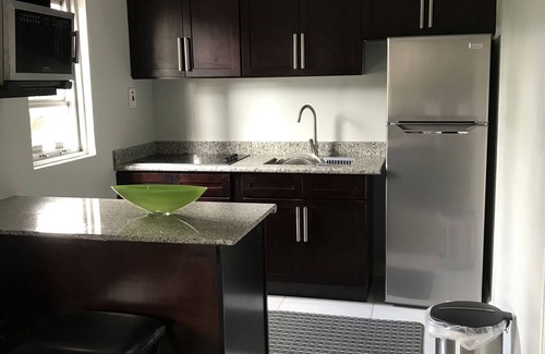 New Kingston Apartamento | Exquisite, recently renovated studio apartment