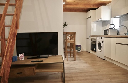 San Diego Apartamento | Exquisito Estudio con Cama en Mezanine y Encantador Patio Compartido MPE35B