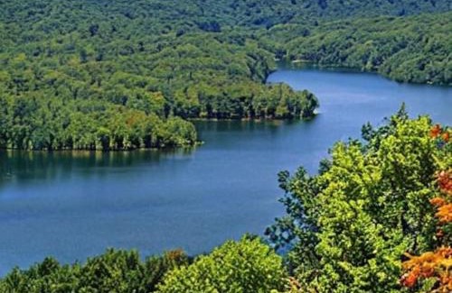 Shenandoah Apartamento | Extended Stay ✫ Geisinger ✫ Danville ✫ St Lukes