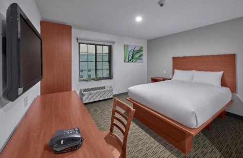 Apodaca Apartamento | Extended Suites Monterrey Aeropuerto