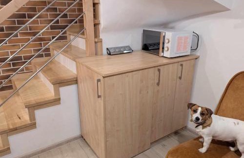 Konskie Apartamento | Extra Apartament Leśny Miodek Sielpia Wielka