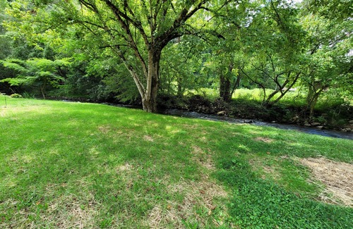 Del Rio Alquiler De RV | Extra large grassy creekside tent site!