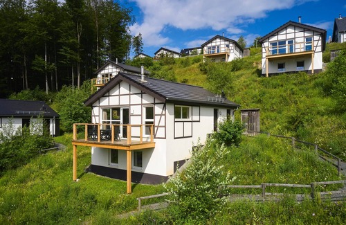 Winterberg Chalet De Esquí | Extra luxury 12-person chalet in the holiday park Landal Winterberg