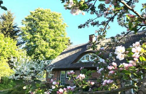 Garz/Rugen Apartamento | F-1081 Ferienwohnung Pfarrhof in Garz