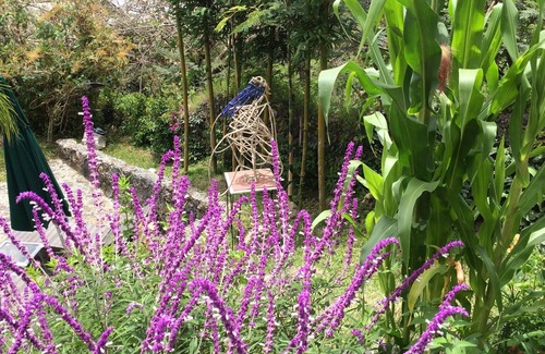 Tepoztlan Casa | Fabulous bungalow with WiFi in Montana Sagrada