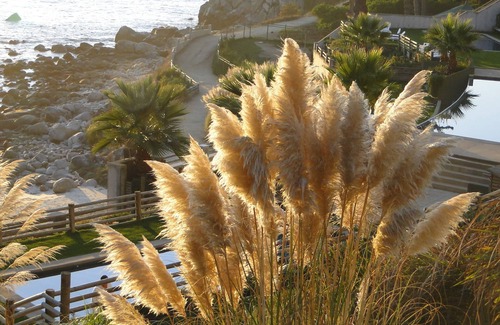 Algarrobo Apartamento | Fabuloso apartamento con hermosa vista