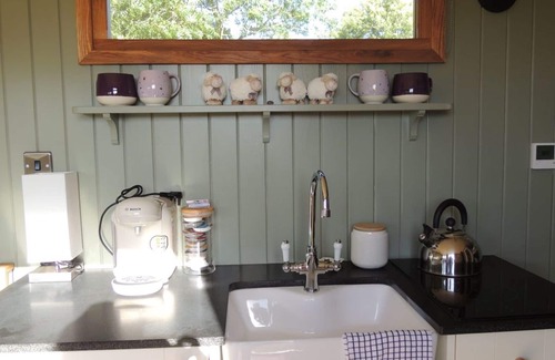 Llanfairpwllgwyngyll Cabina | Fabulous family Shepherd's hut.Pet friendly. Electric hot tub bookable extra