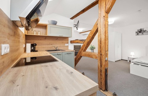 Großraschen Apartamento | Fachwerkstudio 2 Lausitzer See