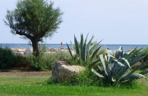 Saintes-Maries-de-la-Mer Apartamento | P2 frente al mar a 20 m de la playa