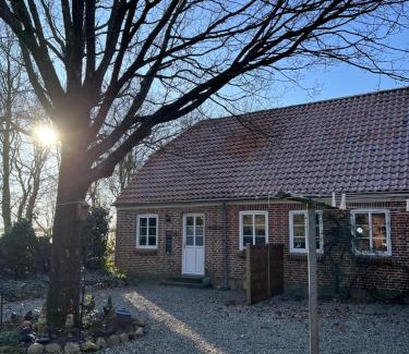 Mandoe Apartamento | Familiehuis Boysen Appartementen