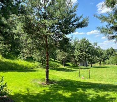 Gorzno Apartamento | Familijny domek nad jeziorem