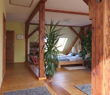 Pisek Apartamento | Family Apartment Písek City Centre