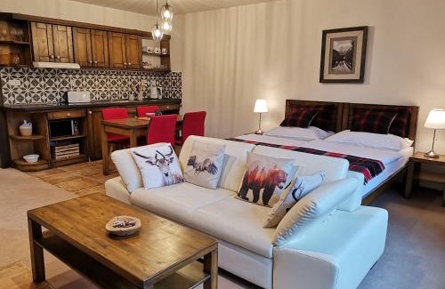 Tatranska Lomnica Apartamento | Family apartment in Tatranska Lomnica
