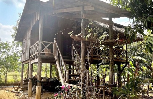 Banan Casa | Family Batcave Homestay