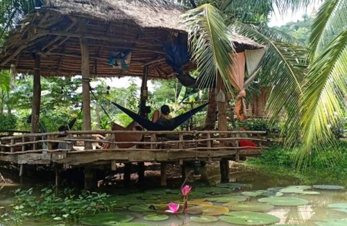 Banan Casa | Family Batcave Homestay
