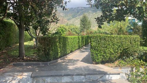 Tragjas Villa | Family Beach Swimming Pool Villa Luanit