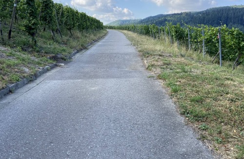 Waldrach Apartamento | Family break in the beautiful Ruwertal near Trier, Luxembourg