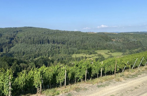 Waldrach Apartamento | Family break in the beautiful Ruwertal near Trier, Luxembourg