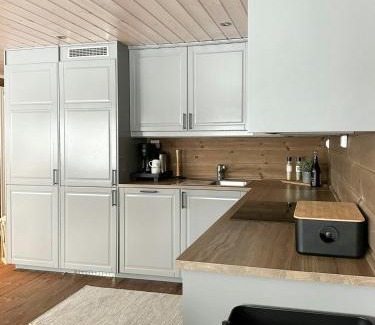 Amot Casa | Family Cabin With Ski Inout At Furutangen