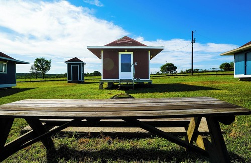 Plantersville Cabina | Family Farms Cabin 4 - Full + Twin Beds, Fire Pit, Fishing & Festival Nearby
