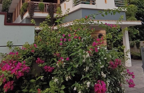 Thiruvananthapuram Casa | Family friendly Homestay with Homely food Near by Kovalam bypass Trivandrum
